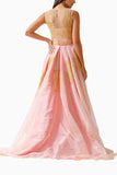 Princess Rose gown